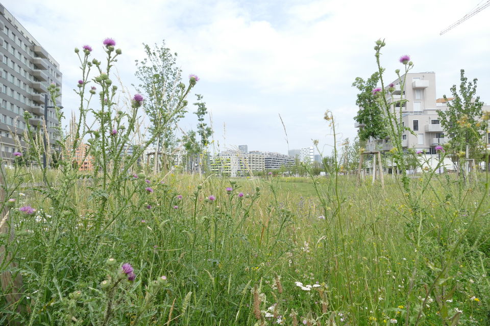 Copyright: Gebietsbetreuung Stadterneuerung