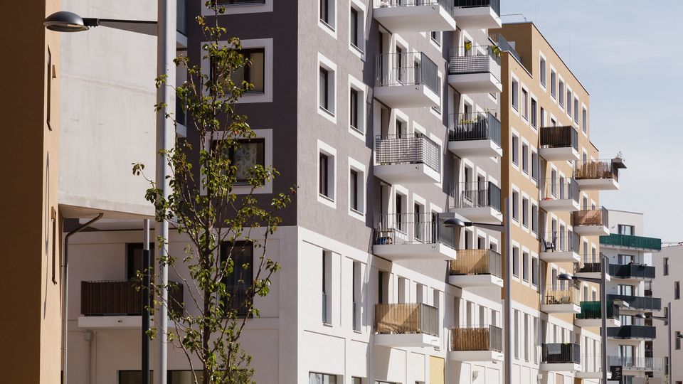 copyright: Jürgen Pletterbauer